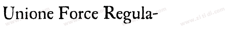 Unione Force Regula字体转换